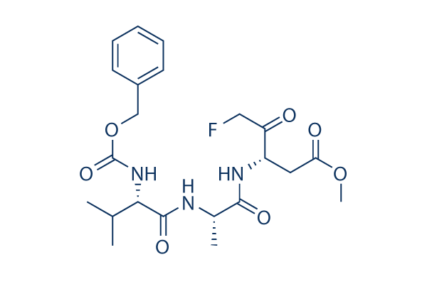 Z-VAD-FMK | ≥99%(HPLC) | Selleck | Caspase inhibitor
