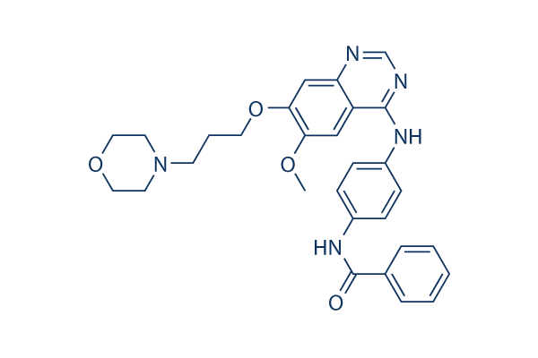 ZM 447439 Chemical Structure