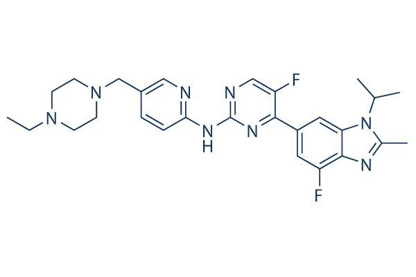 
		Abemaciclib (LY2835219) | ≥99%(HPLC) | Selleck | CDK inhibitor
