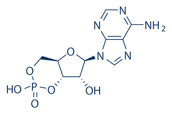 Adenosine Cyclophosphate Chemical Structure