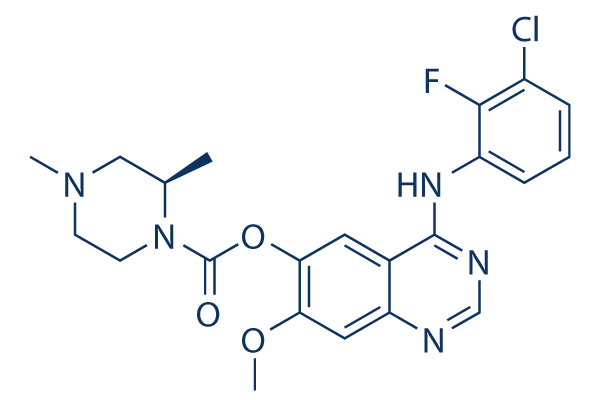 Zorifertinib (AZD3759) Chemical Structure