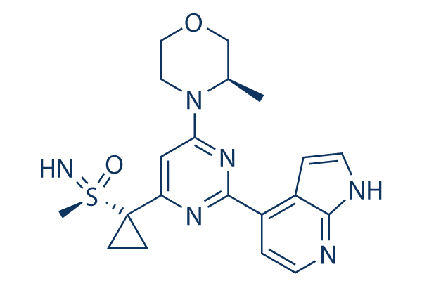 Ceralasertib (AZD6738) Chemical Structure