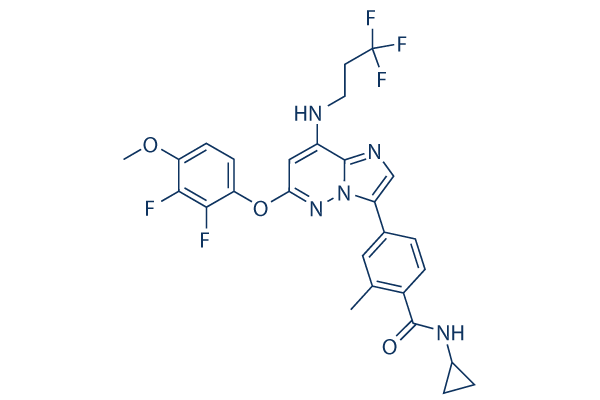 BAY 1217389 Chemical Structure
