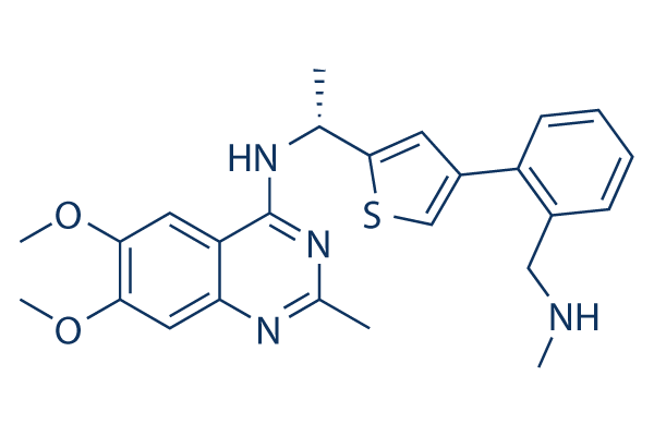 
		BAY-293 | ≥99%(HPLC) | Selleck | Ras inhibitor
