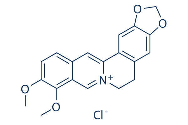 Berberine chloride (NSC 646666) Chemical Structure