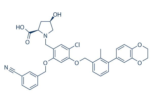 
		BMS-1166 | ≥99%(HPLC) | Selleck | PD-1/PD-L1 inhibitor
