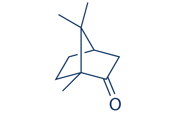 Camphor Chemical Structure
