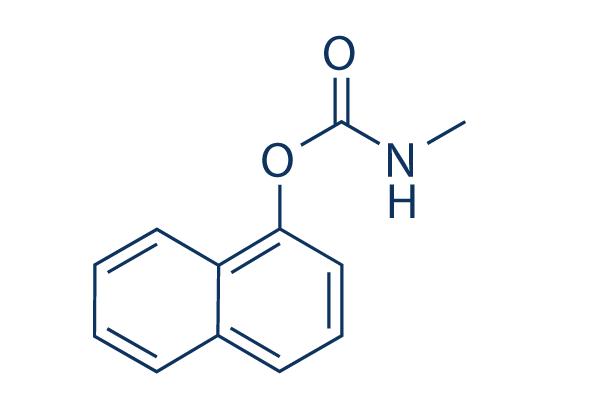 Carbaryl 99 Hplc Selleck Achr Inhibitor