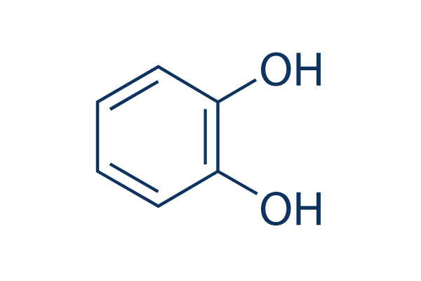 Catechol Selleck Selleck Korea 