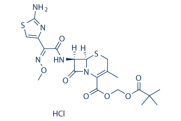 Cefetamet pivoxil hydrochloride Chemical Structure