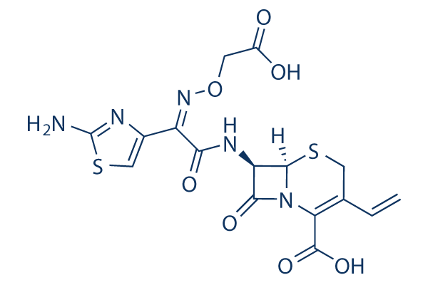 Cefixime Chemical Structure