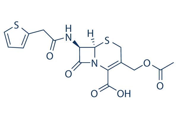 Cephalotin acid Chemical Structure