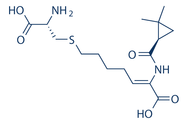 Cilastatin Chemical Structure
