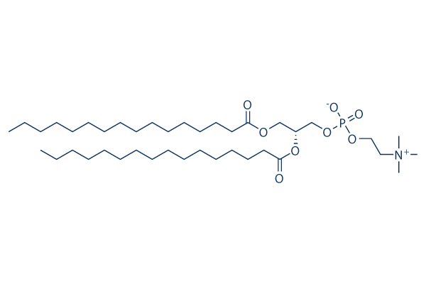 1,2-dipalmitoyl-sn-glycero-3-phosphocholine Chemical Structure