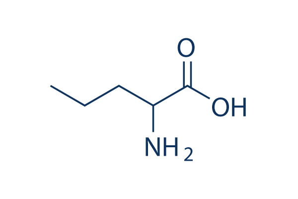 DL-Norvaline Chemical Structure