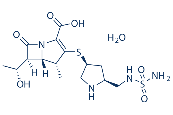 Doripenem Hydrate Chemical Structure