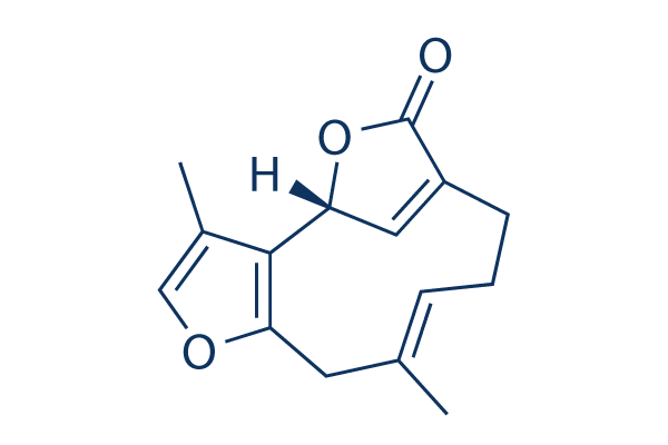 Linderalactone Chemical Structure