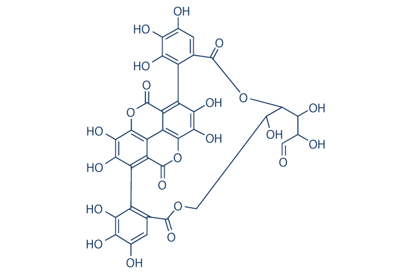 Punicalin Chemical Structure