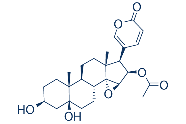 Cinobufotalin Chemical Structure
