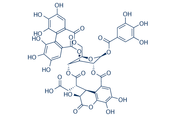 Chebulagic acid Chemical Structure