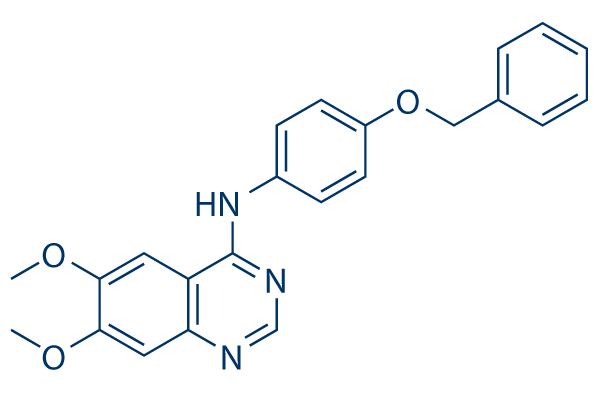 ErbB2 inhibitor Chemical Structure