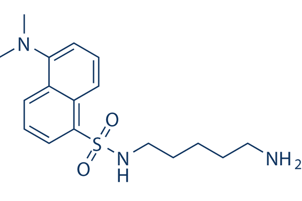 Dansylcadaverine (Monodansyl cadaverine) Chemical Structure