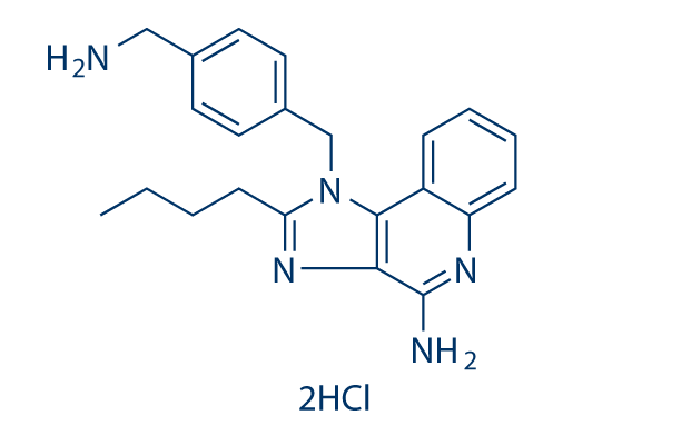 TLR7/8 agonist 1 dihydrochloride Chemical Structure