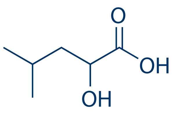 2-Hydroxyisocaproic acid Chemical Structure
