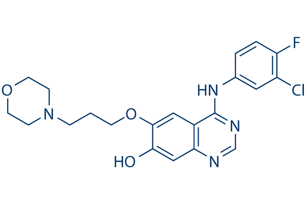 O-Demethyl-Gefitinib Chemical Structure