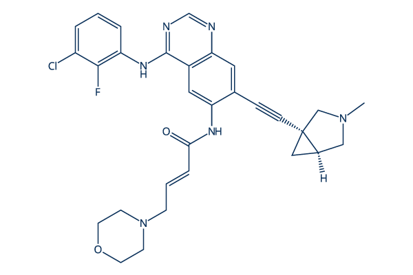 BDTX-1535 Chemical Structure