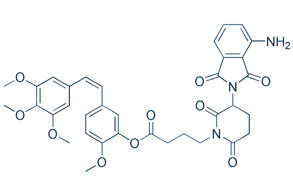 PROTAC tubulin-Degrader-1(compound W13) Chemical Structure