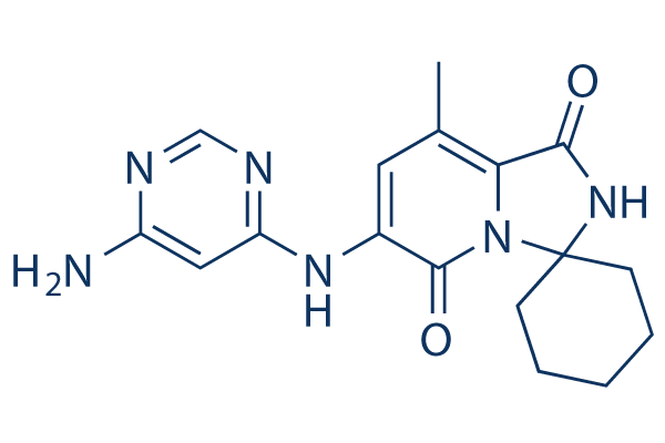 
		Tomivosertib (eFT-508) | ≥99%(HPLC) | Selleck | MNK inhibitor
