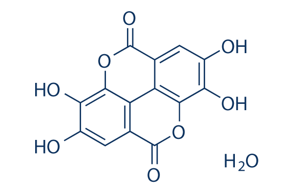 Ellagic Acid hydrate Chemical Structure