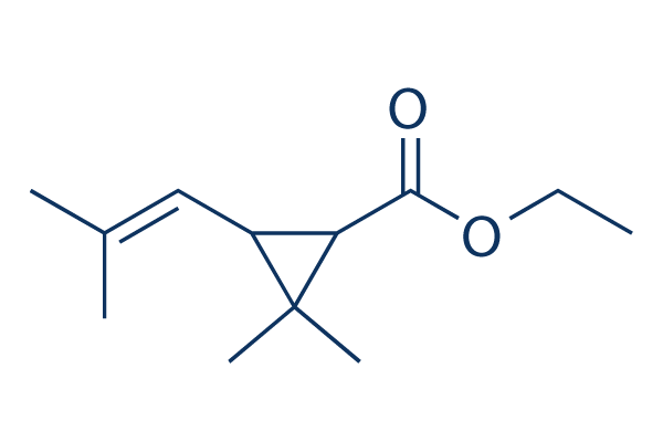 Ethyl chrysanthemumate Chemical Structure