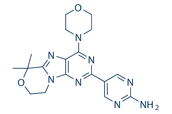 Paxalisib (GDC-0084) Chemical Structure