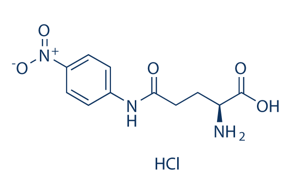 GPNA (L-γ-Glutamyl-p-nitroanilide) Chemical Structure