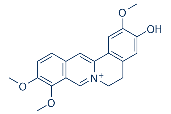 Jatrorrhizine Chemical Structure