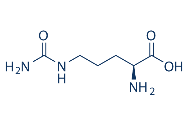 L-Citrulline Chemical Structure