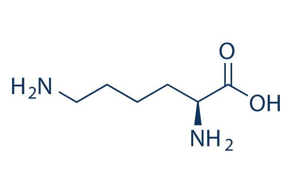 L-lysine Chemical Structure