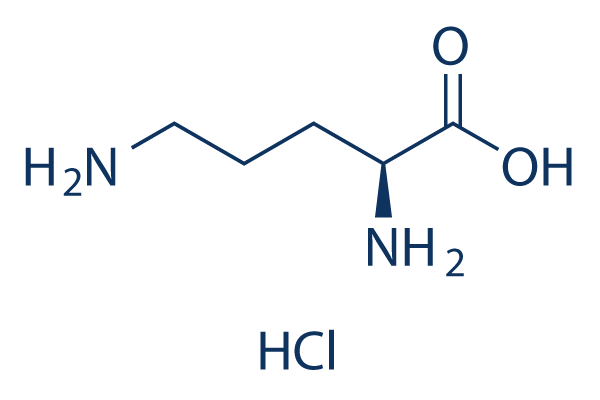 L-Ornithine hydrochloride Chemical Structure
