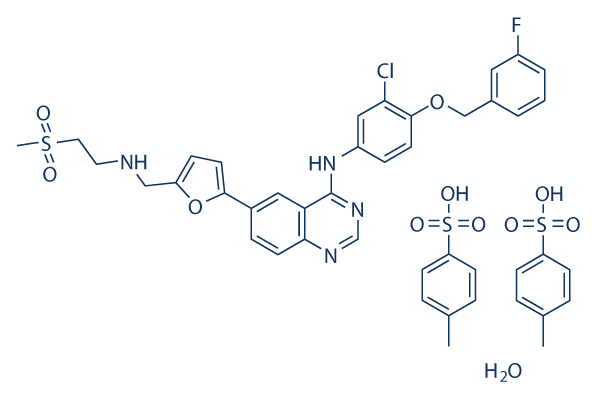 Lapatinib ditosylate monohydrate Chemical Structure