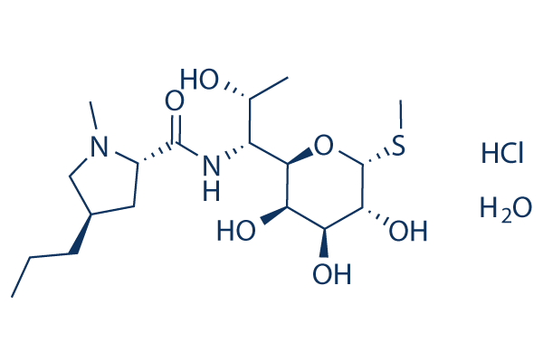 Lincomycin Hydrochloride Monohydrate Chemical Structure