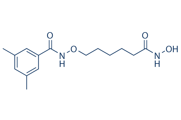 
		LMK-235 | ≥99%(HPLC) | Selleck | HDAC inhibitor
