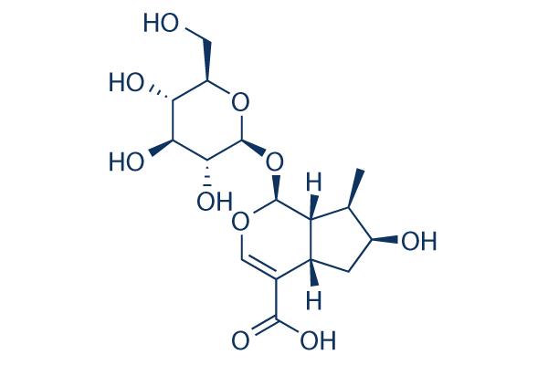 Loganic acid Chemical Structure