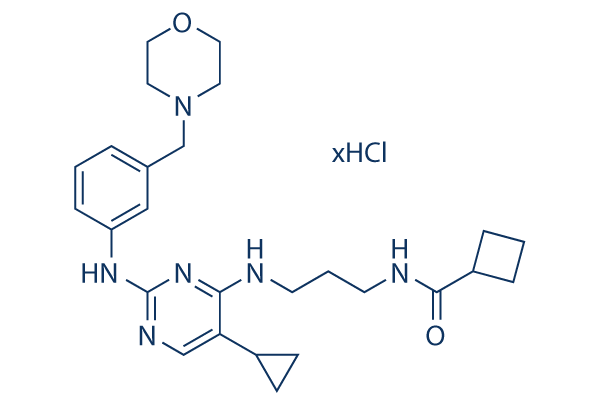 MRT67307 HCl Chemical Structure