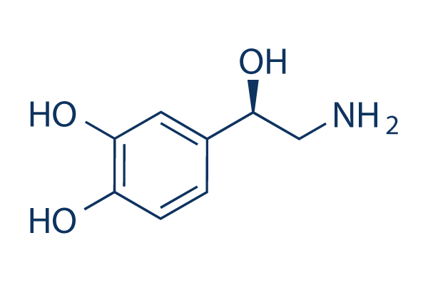 (−)-Norepinephrine Chemical Structure