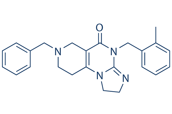 
		TIC10 (ONC201) | ≥99%(HPLC) | Selleck | Akt inhibitor
