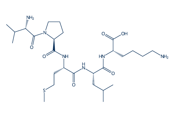 Bax inhibitor peptide V5 Amino-acid Sequence