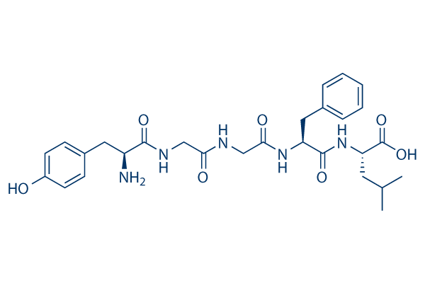 [Leu5]Enkephalin Amino-acid Sequence