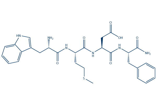 Gastrin Tetrapeptide Amino-acid Sequence
